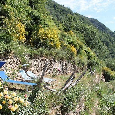 VignaiRural House别墅 外观 照片